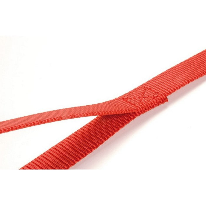 Guinzaglio per cani in nylon 100 cm M - Basic - RECORD - 64428703973754