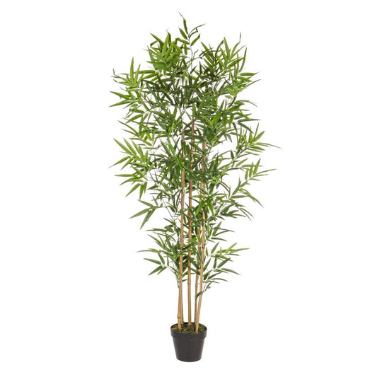 Pianta artificiale con vaso 155 cm - Bamboo - BIZZOTTO - 34267275690200