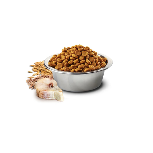 N&D Ocean Dog Merluzzo, farro e arancia Adult Mini - FARMINA - 64826476396922