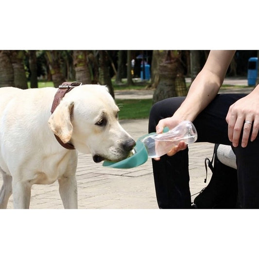 Dispenser di acqua con borraccia per cani da viaggio 400 ml - Wave - RECORD - 64406004138362
