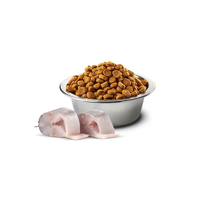 N&D White Dog Spigola, spirulina e finocchio Adult Mini