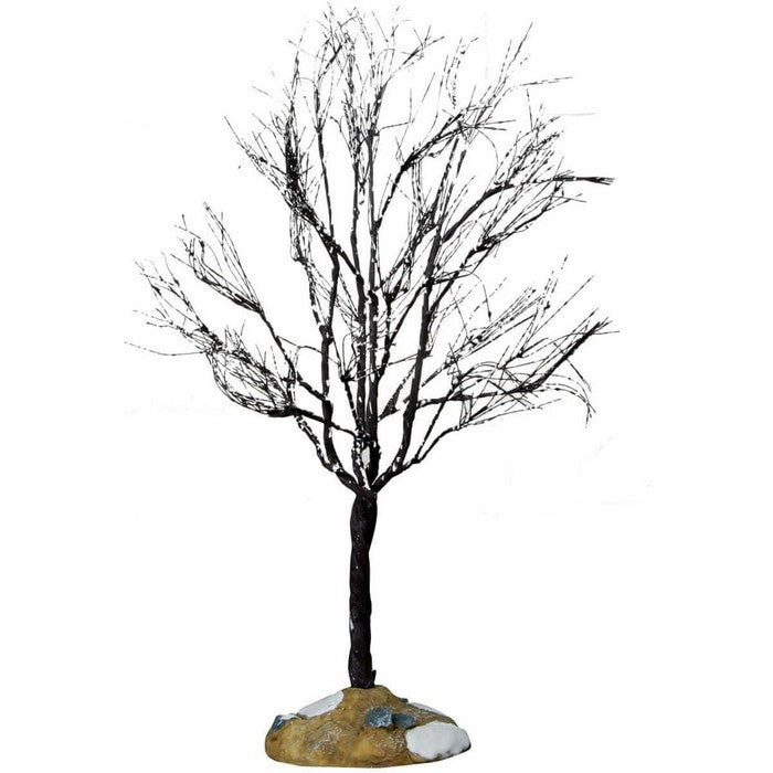 Albero di Butternut grande per villaggio natalizio