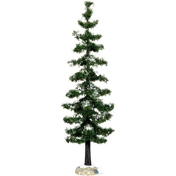 Albero di Abete grande per villaggio natalizio
