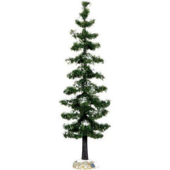 Albero di Abete grande per villaggio natalizio