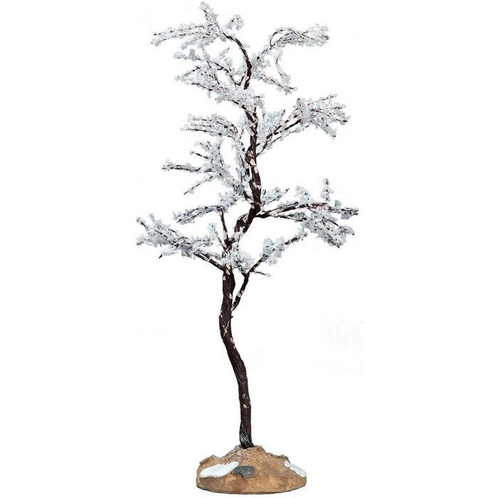 Albero della rugiada al mattino medio per villaggio natalizio