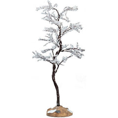 Albero della rugiada al mattino medio per villaggio natalizio