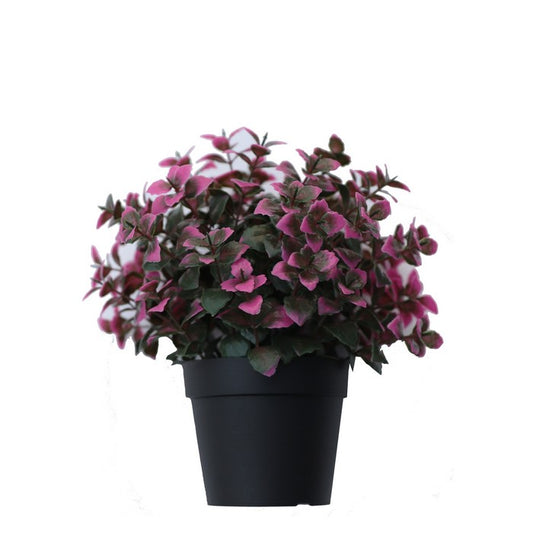 Pianta artificiale in vaso - Pachisandra - BEST - 