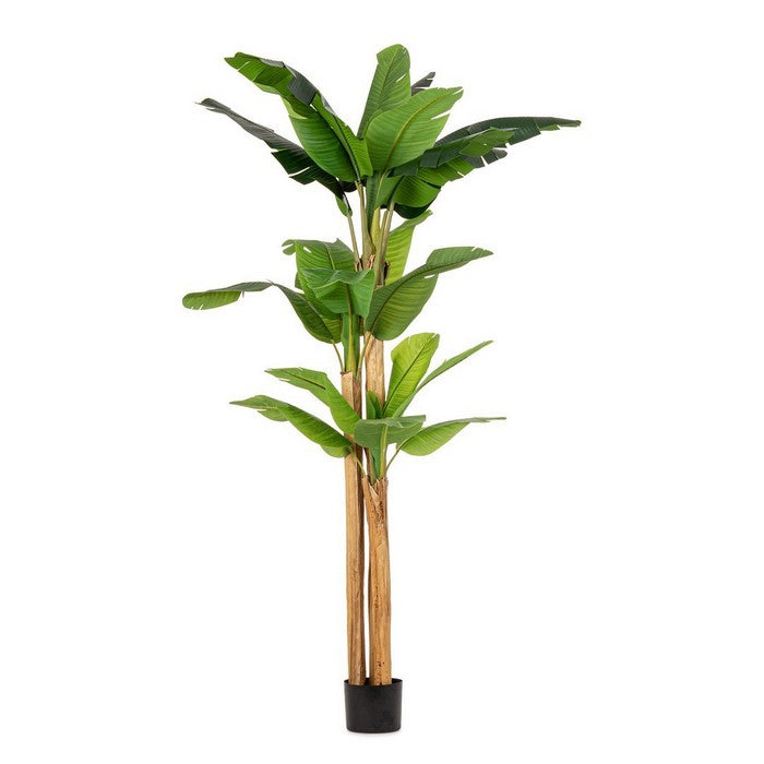 Pianta artificiale di banano con vaso 280 cm