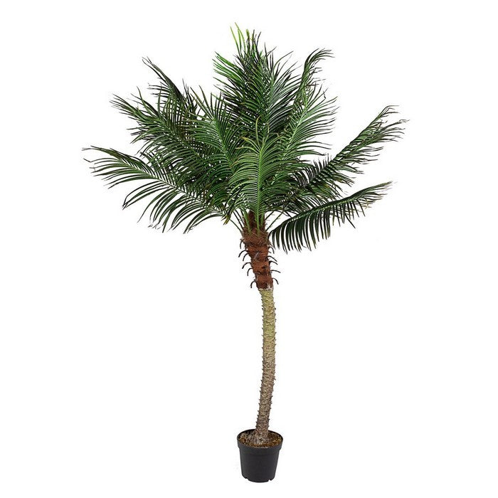 Pianta artificiale con vaso 210 cm - Palma
