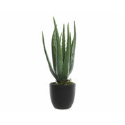 Pianta artificiale di aloe in vaso