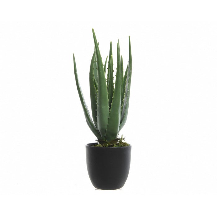 Pianta artificiale di aloe in vaso