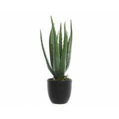 Pianta artificiale di aloe in vaso