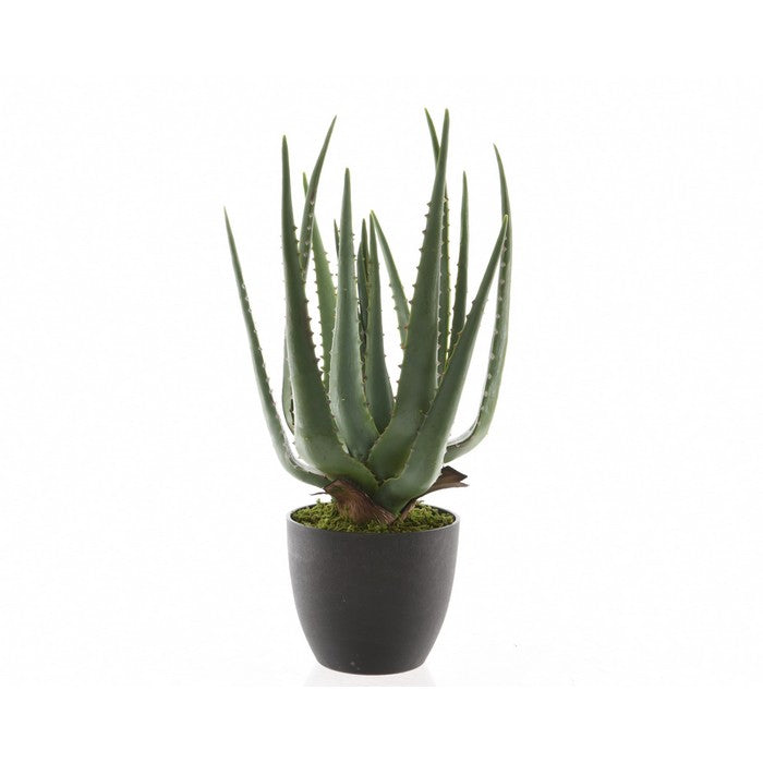 Pianta artificiale di aloe in vaso
