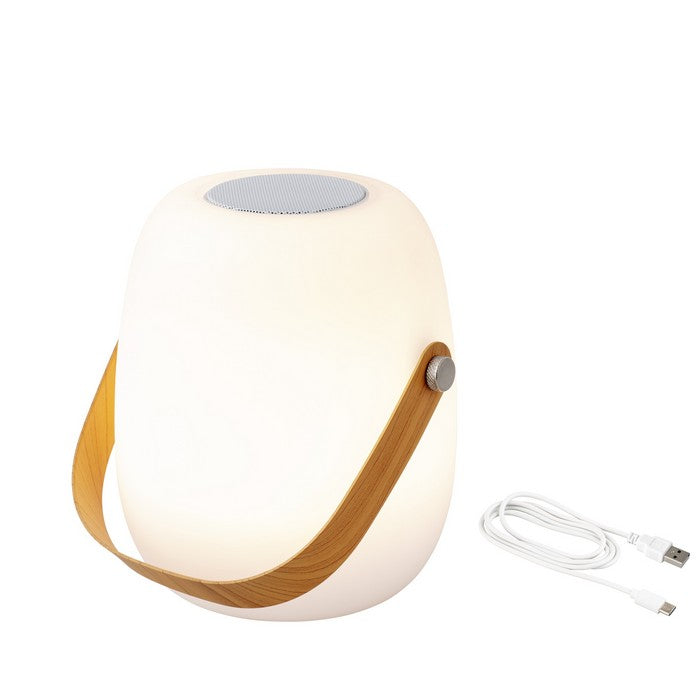 Lampada LED da esterno con speaker bluetooth a batteria