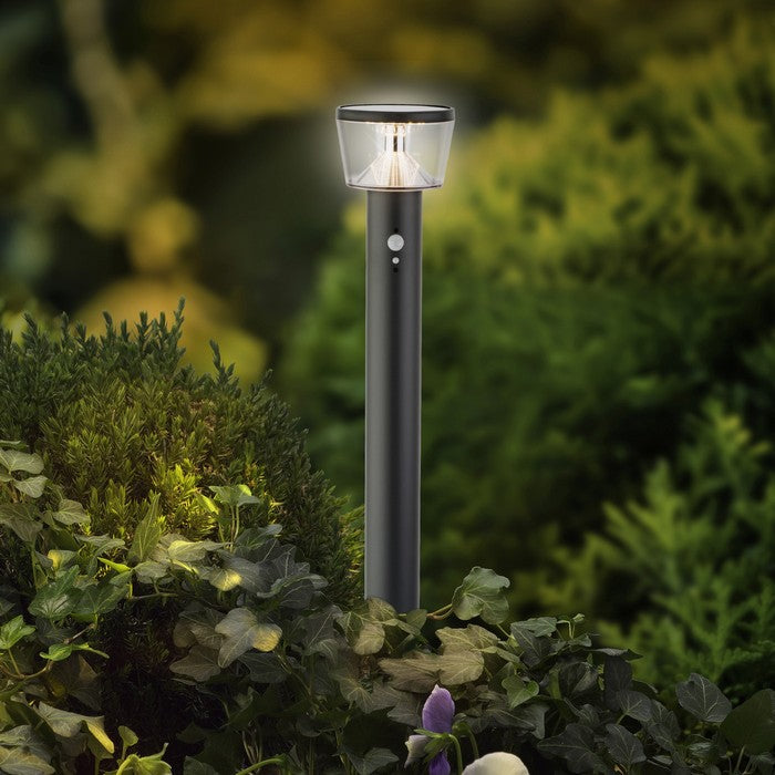 Pick da giardino in acciaio inox con LED a luce solare 94 cm