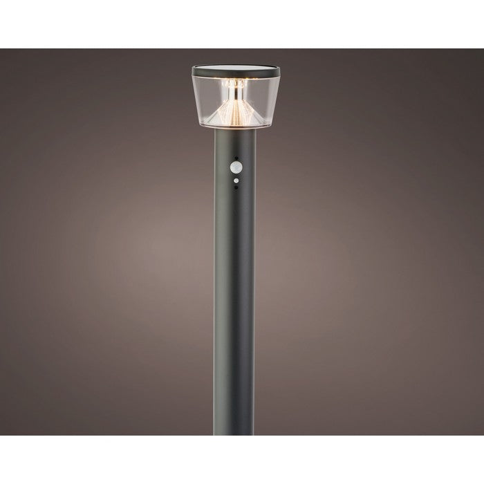 Pick da giardino in acciaio inox con LED a luce solare 94 cm