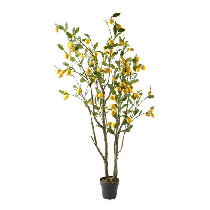 Pianta artificiale di limone in vaso con frutti 190 cm - MERCURY - 34279932428504