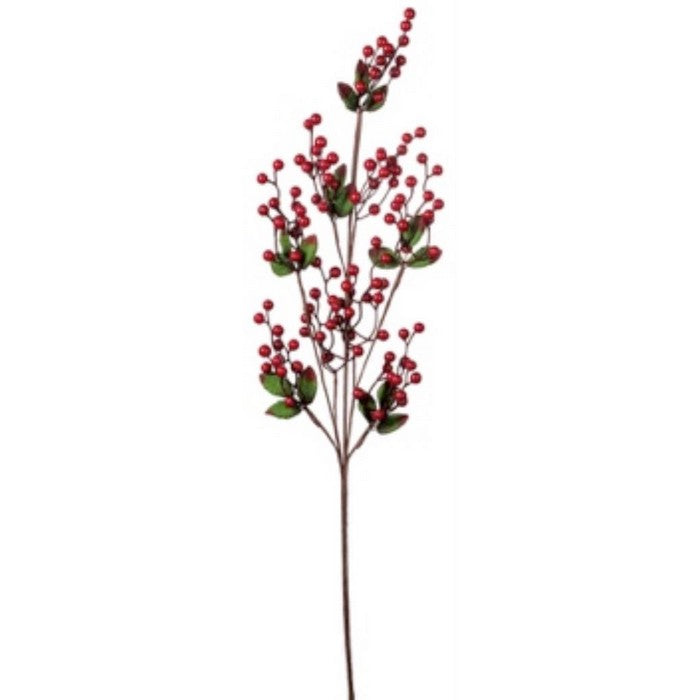 Ramoscello con bacche per decorazione