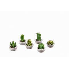 Candela piantina grassa con vasetto in cemento