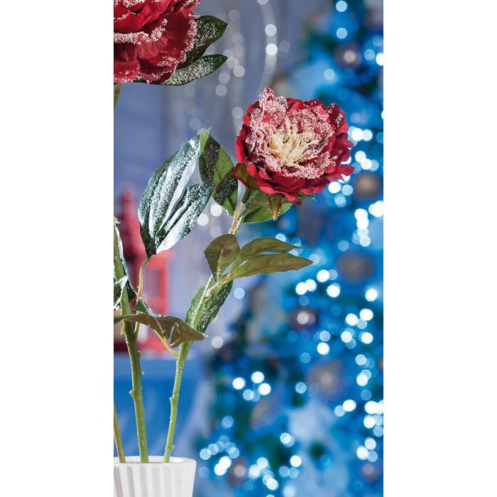 Poenia per decorazione natalizia 69 cm