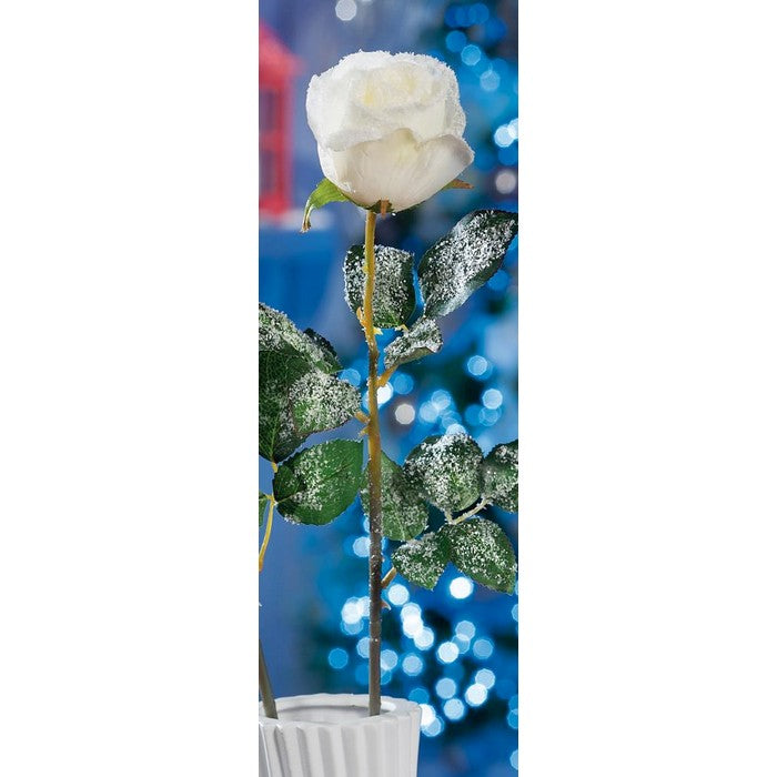Rosa innevata bianco per decorazione natalizia 69 cm