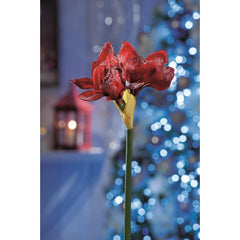 Giglio innevato per decorazione natalizia 80 cm