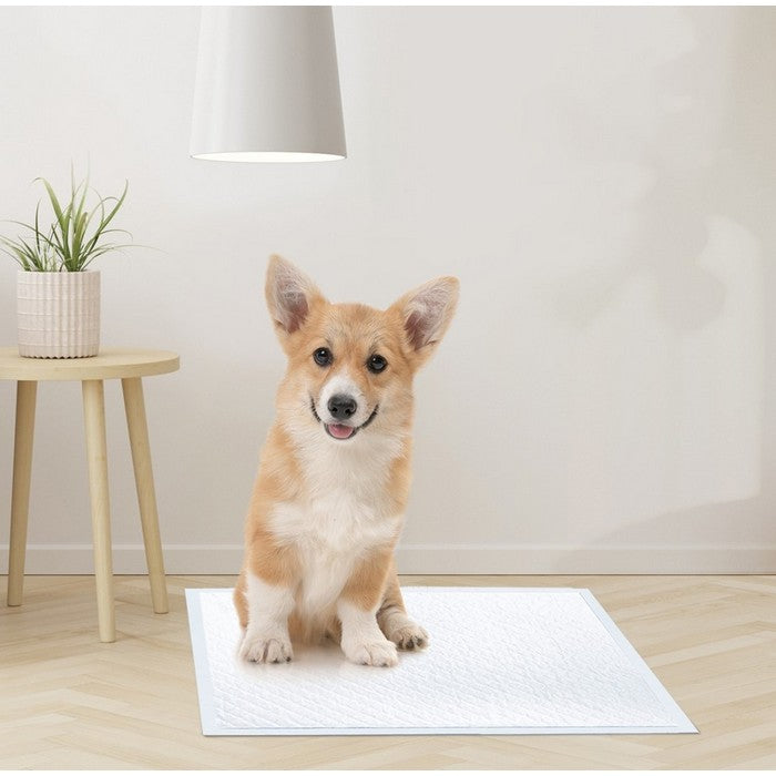 Tappetini assorbenti 60x60 cm - Assorbipiù