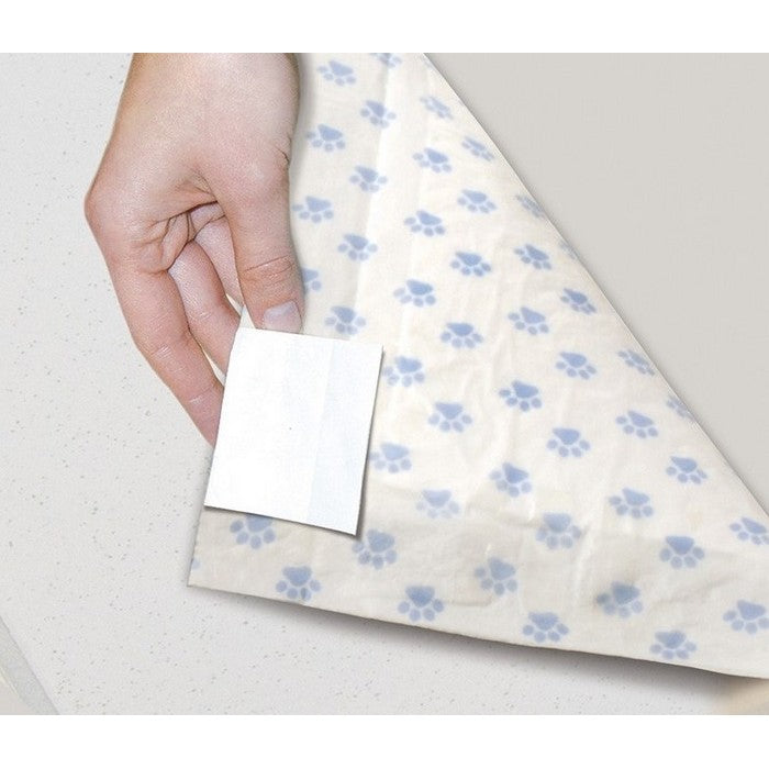 Tappetini assorbenti 60x90 cm con carbone attivo - Assorbipiù - RECORD - 64428691423610