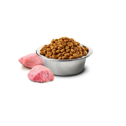 N&D Pumpkin Dog Zucca, agnello e mirtilli Puppy Mini - FARMINA - 64826511950202