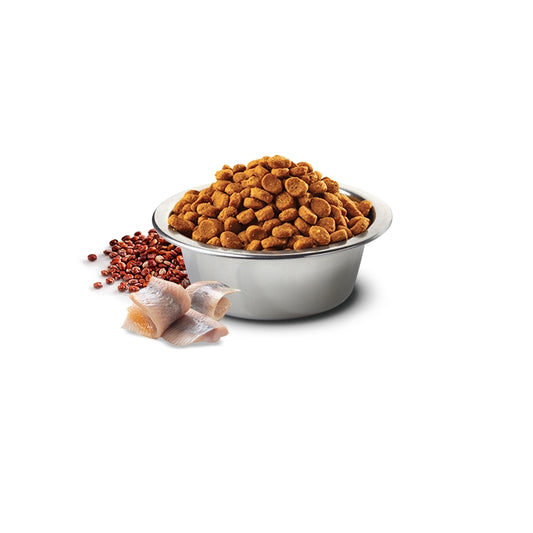 N&D Quinoa Dog Skin&Coat Aringa, quinoa e cocco Adult - FARMINA - 64826533282170