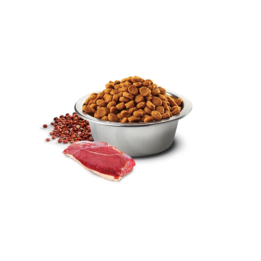 N&D Quinoa Dog Skin&Coat Anatra, quinoa e cocco Adult - FARMINA - 64826530464122