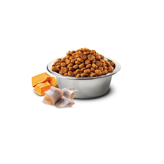 N&D Ocean Dog Zucca, merluzzo e arancia Adult Mini - FARMINA - 64826480001402