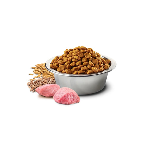 N&D Ancestral grain Dog Pollo e melograno Adult Mini - FARMINA - 64826462929274