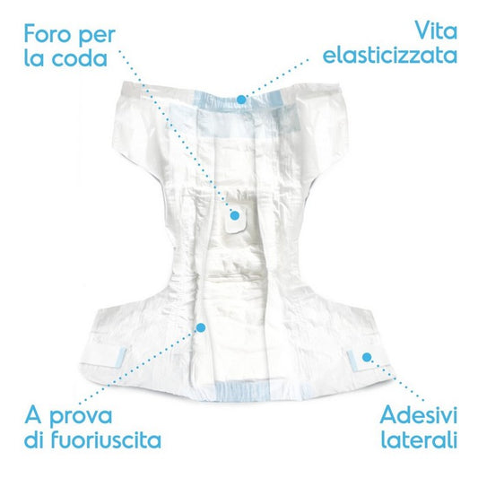 Pannolini assorbenti per cani con fascia elastica 12 pezzi - Assorbipiù - RECORD - 64428669960570