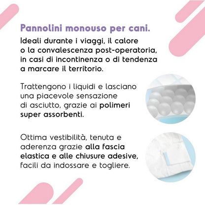 Pannolini assorbenti per cani con fascia elastica 12 pezzi - Assorbipiù