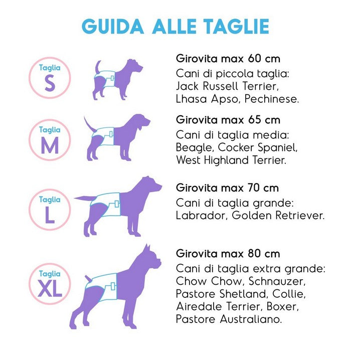Pannolini assorbenti per cani con fascia elastica 12 pezzi - Assorbipiù - RECORD - 64428670124410