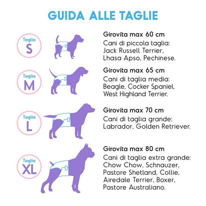 Pannolini assorbenti per cani con fascia elastica 12 pezzi - Assorbipiù