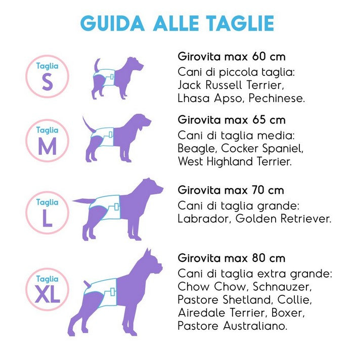Pannolini assorbenti per cani con fascia elastica 12 pezzi - Assorbipiù - RECORD - 64428964217210