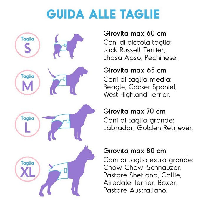 Pannolini assorbenti per cani con fascia elastica 12 pezzi - Assorbipiù - RECORD - 64428674351482
