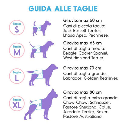 Pannolini assorbenti per cani con fascia elastica 12 pezzi - Assorbipiù