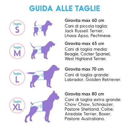 Pannolini assorbenti per cani con fascia elastica 12 pezzi - Assorbipiù