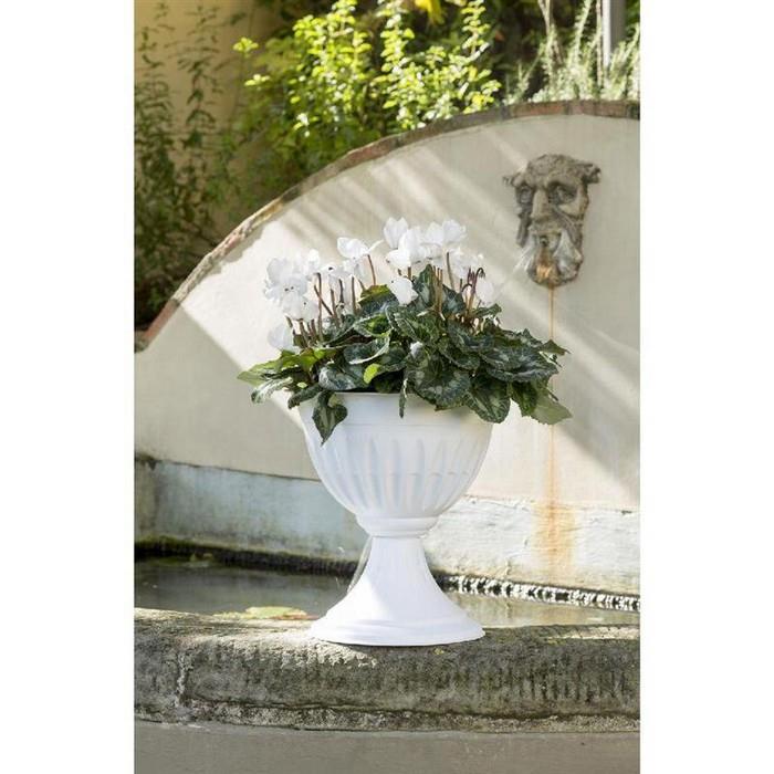 Vaso tondo a calice - Alba - BAMA - 34274284208344