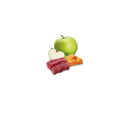 N&D Pumpkin Cat Zucca e cervo Adult 70g