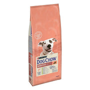 Purina Dog Chow Adult Sensitive con salmone