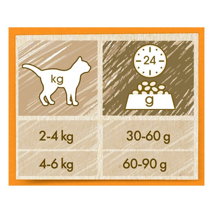 Purina Cat Chow Adult ricco in Anatra
