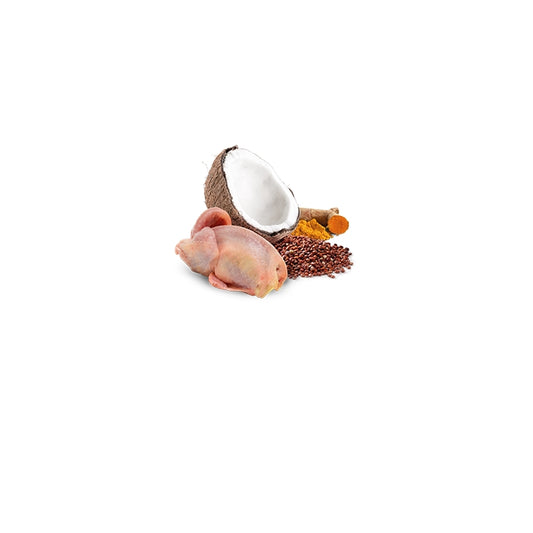 N&D Quinoa Cat Skin&Coat Quaglia e cocco Adult 80g - FARMINA - 64826521583994