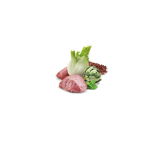 N&D Quinoa Cat Digestion Adult 80g - FARMINA - 64826520076666