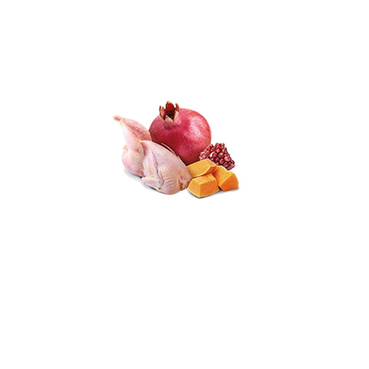 N&D Pumpkin Cat Zucca e quaglia Adult 70g - FARMINA - 64826490716538