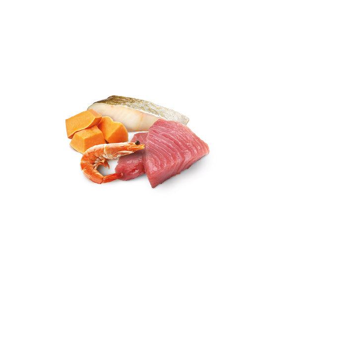 N&D Ocean Cat Tonno, merluzzo e gamberetti Adult 70g - FARMINA - 64826473775482