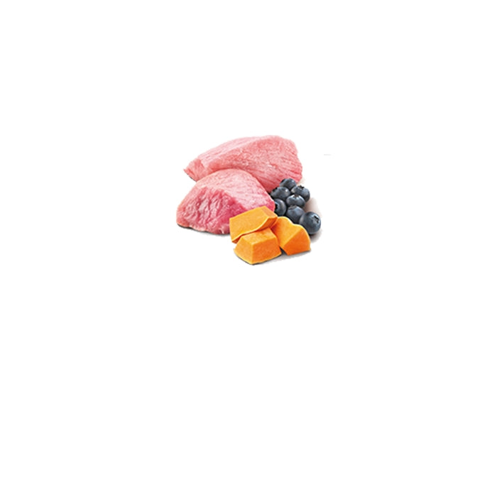 N&D Pumpkin Cat Zucca, agnello e mirtillo Adult 70g - FARMINA - 64826491830650